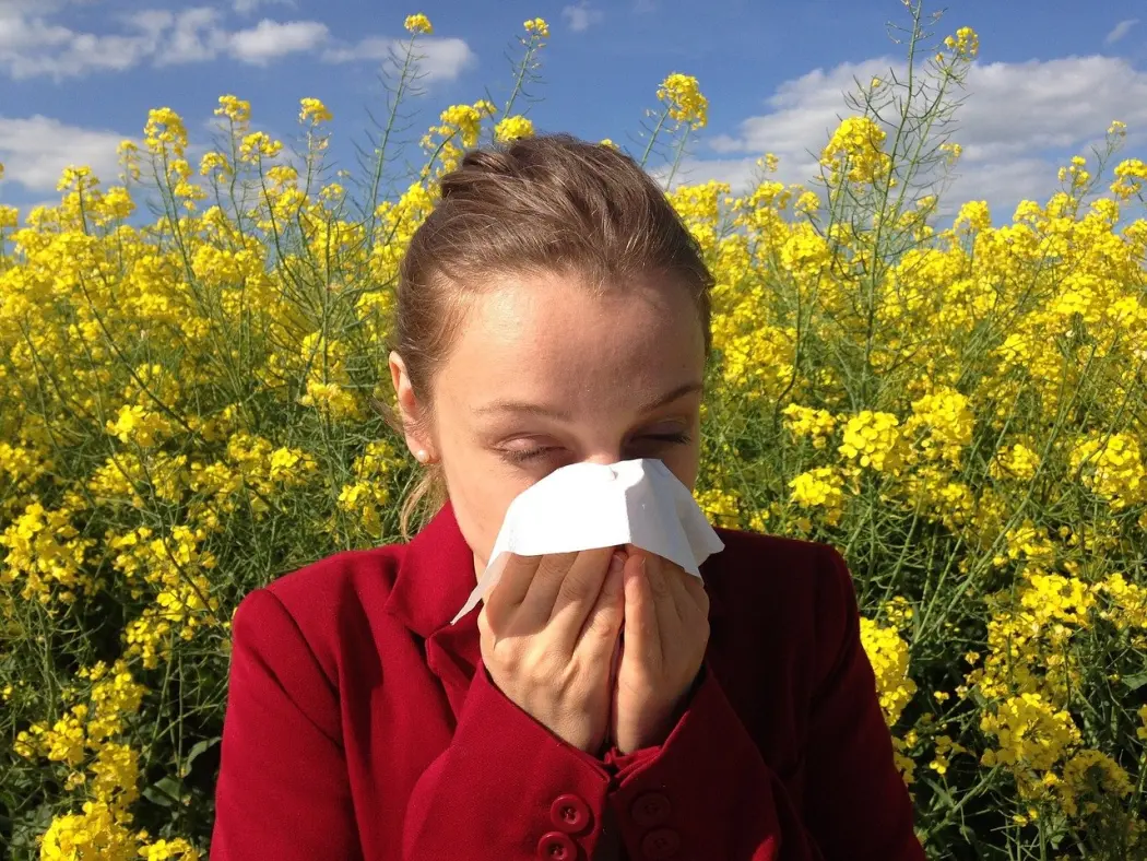 Alergia na pyłki – jak sobie z nią radzić