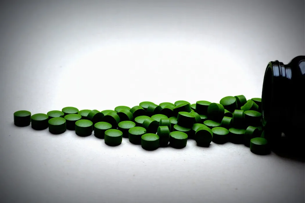 Chlorella — lepsza w tabletkach czy proszku?