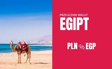 Obraz do artykułu: Funt egipski czy dolary? Sprawdź aktualny przelicznik walut i ceny w Egipcie