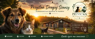 Obraz do artykułu: Wywiad: W Trzebini będzie Przystań Drugiej Szansy. Pomoc znajdą tu nie tylko psy i koty