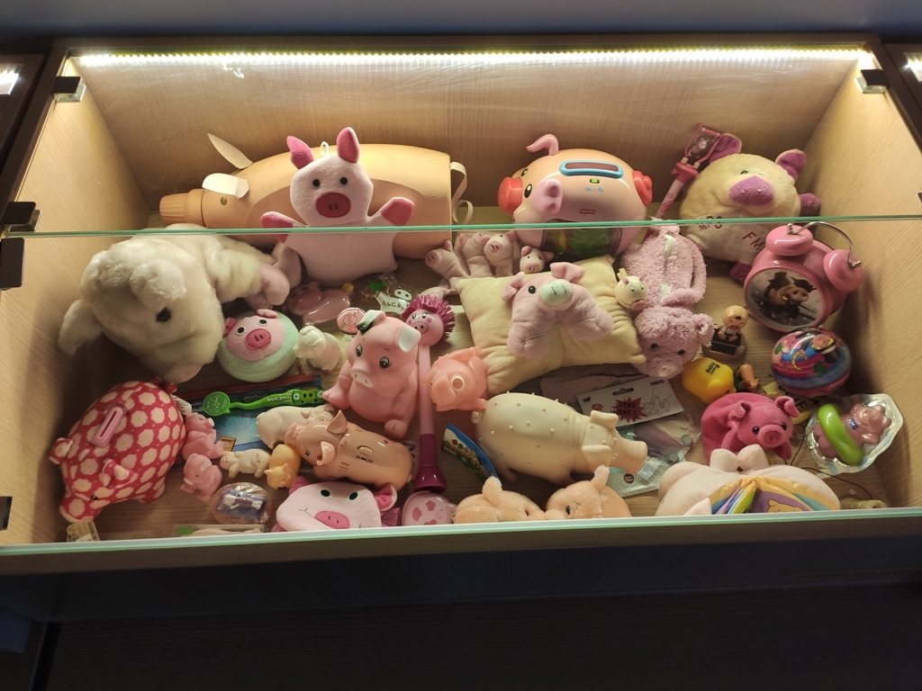 Muzeum świni Wieprz