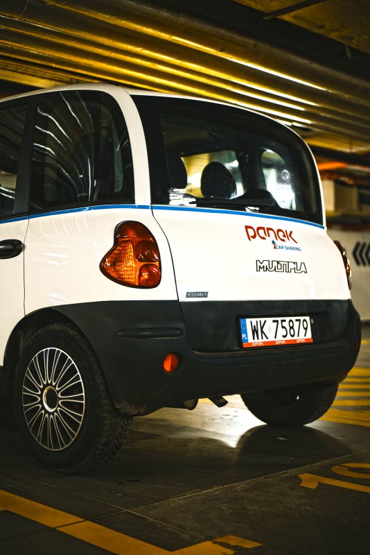 multipla