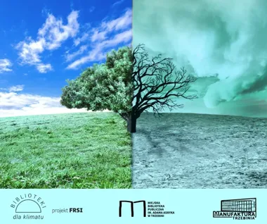 Trzebińska biblioteka w klimatycznej dziesiątce. Jest grant i plan na działanie