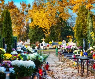 Grobonet pomaga znaleźć grób na każdym z siedmiu gminnych cmentarzy